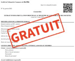 Extrait Kbis : gratuit pour les dirigeants Extrait Kbis : gratuit pour les dirigeants