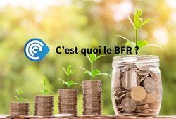 C'est quoi le BFR ? C'est quoi le BFR ?