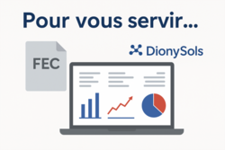 Analyse comptable automatisée : la révolution DionySols et FEC Analyse comptable automatisée : la révolution DionySols et FEC
