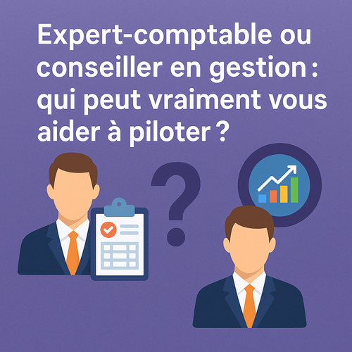 Expert-comptable ou conseiller en gestion pour un bon pilotage? Expert-comptable ou conseiller en gestion pour un bon pilotage?